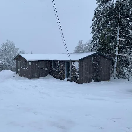 Des Campanules Avec Sauna