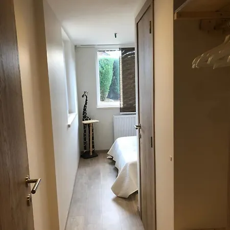 Des Campanules Avec Sauna * Vielsalm