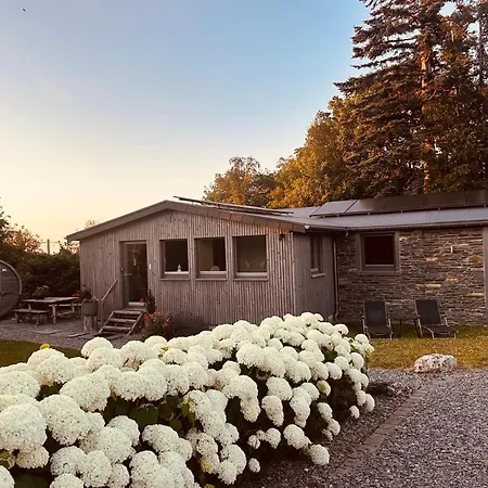Domek alpejski Des Campanules Avec Sauna Vielsalm